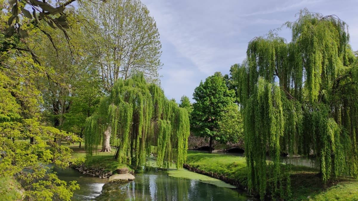 Fotografia dell'isola del paradiso a Treviso in Primavera