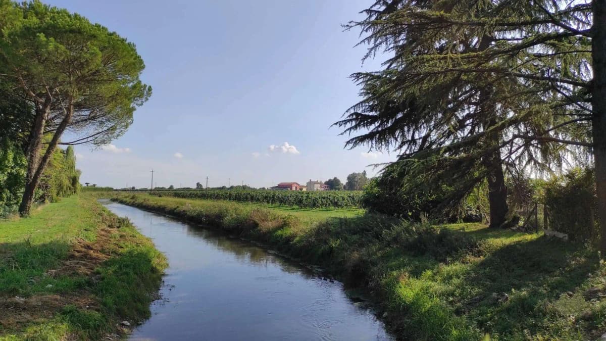 Cosa fare a Ormelle: 3 cose da scoprire