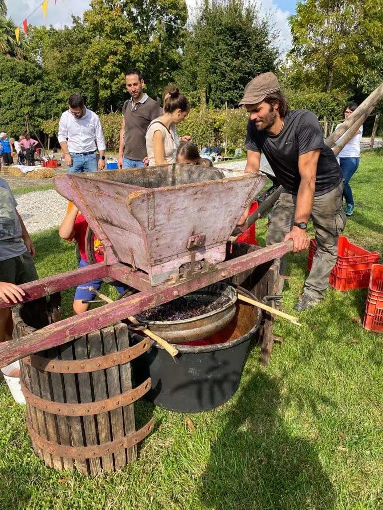 A piedi nudi nei tini: al Parco Frassanelle torna La Pigiatura domenica 24 settembre