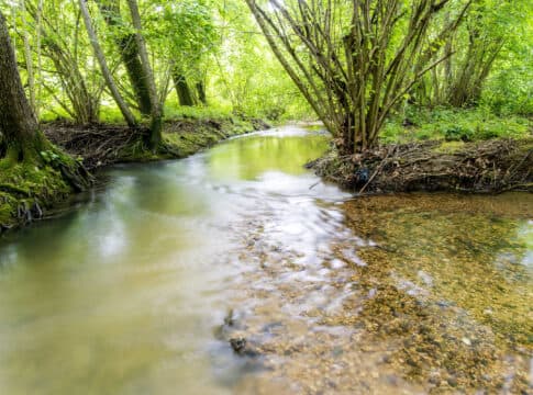 I Palù del Quartier del Piave a Sernaglia della Battaglia