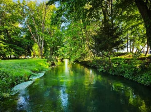 Cosa vedere a Carbonera: 4 cose da vedere