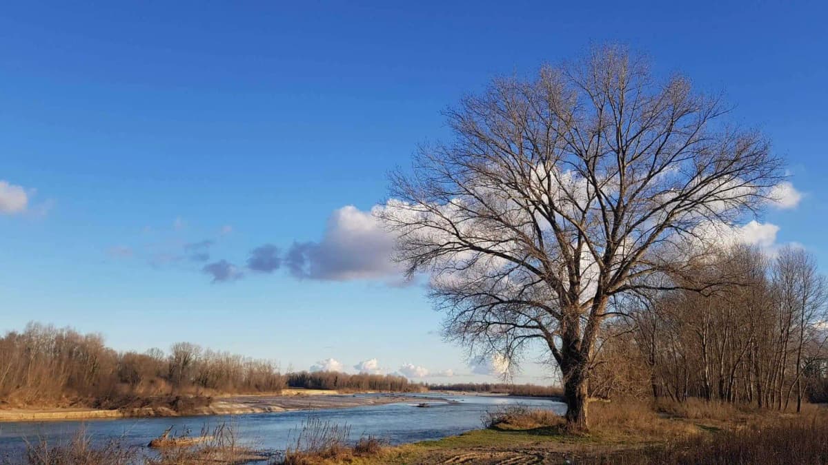 Agriturismi a Breda di Piave: veduta del Piave