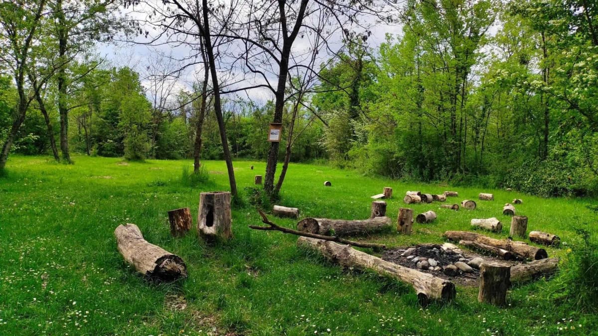 Oasi del Codibugnolo a Maserada sul Piave
