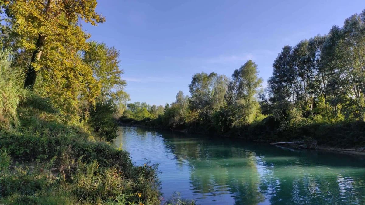 Cosa fare a Salgareda in provincia di Treviso: 3 idee
