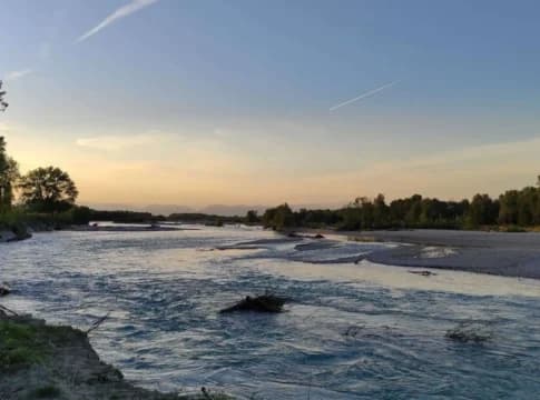 Vivai a Breda di Piave: 5 dei migliori vivai a Breda di Piave