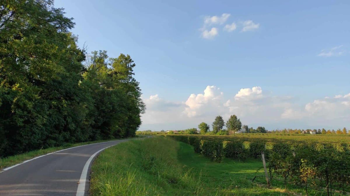 Cosa fare a Ponte di Piave?