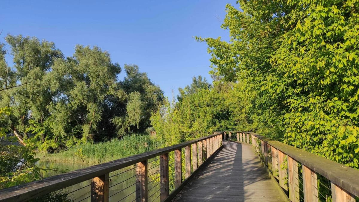 Cosa vedere a Casier in Provincia di Treviso