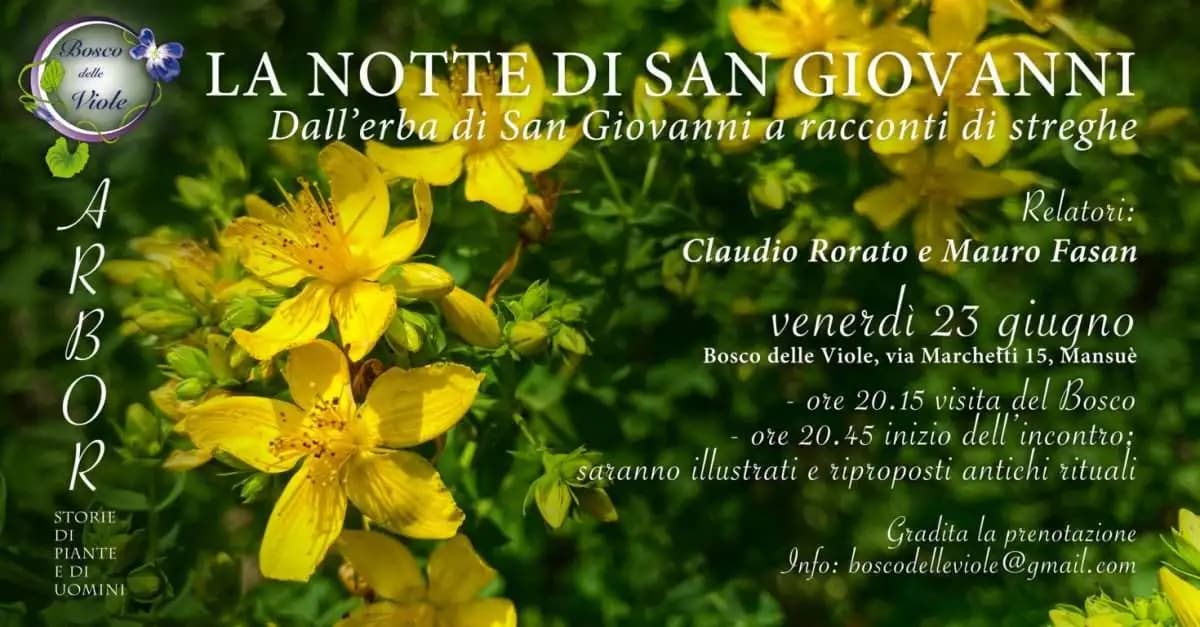La notte di San Giovanni nel bosco delle Viole, Mansuè (TV)