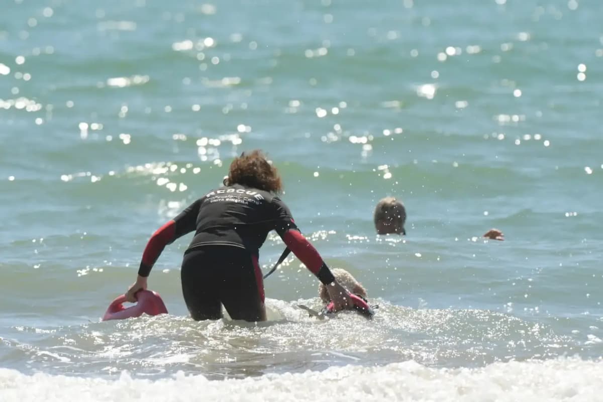 A Caorle Domenica 26 Maggio i cani bagnini tornano sulla spiaggia