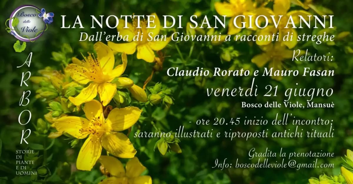 LA NOTTE DI SAN GIOVANNI Bosco delle Viole