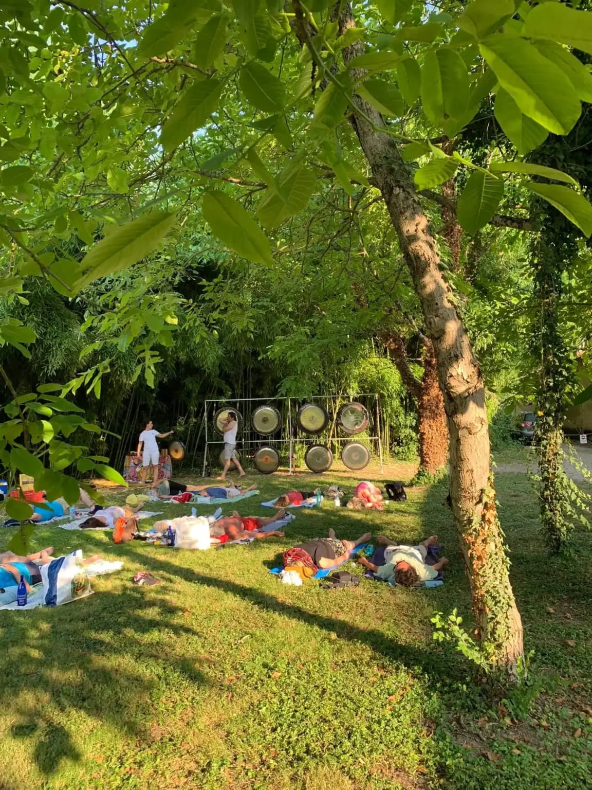 DOMENICA 9 GIUGNO GIORNATA SPECIALE NELL’ORIGINALE PARCO FRASSANELLE BAGNI DI GONG, THAI CHI, MASSAGGI VIBRAZIONALI
