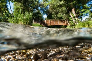 Il Percorso ecologico delle Fontane Bianche a Sernaglia della Battaglia