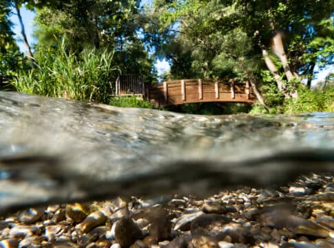 Il Percorso ecologico delle Fontane Bianche a Sernaglia della Battaglia